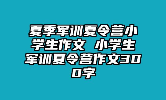 夏季军训夏令营小学生作文 小学生军训夏令营作文300字