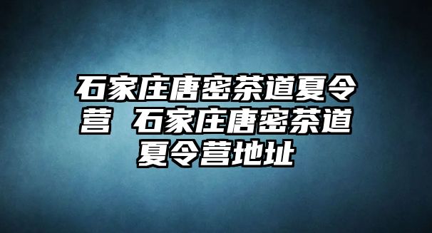 石家庄唐密茶道夏令营 石家庄唐密茶道夏令营地址