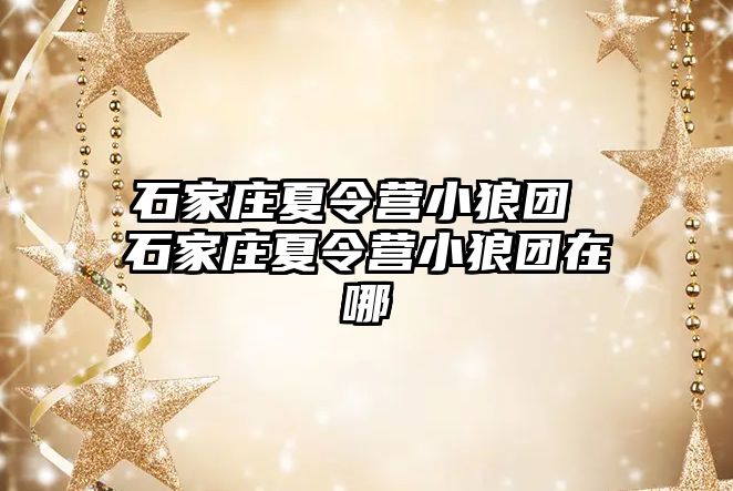 石家庄夏令营小狼团 石家庄夏令营小狼团在哪