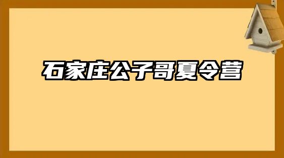 石家庄公子哥夏令营 