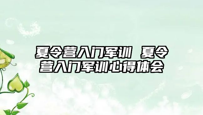 夏令营入门军训 夏令营入门军训心得体会