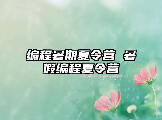 编程暑期夏令营 暑假编程夏令营