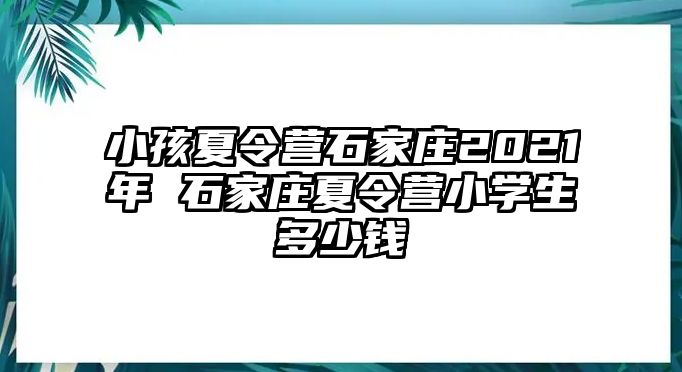 小孩夏令营石家庄2021年 石家庄夏令营小学生多少钱