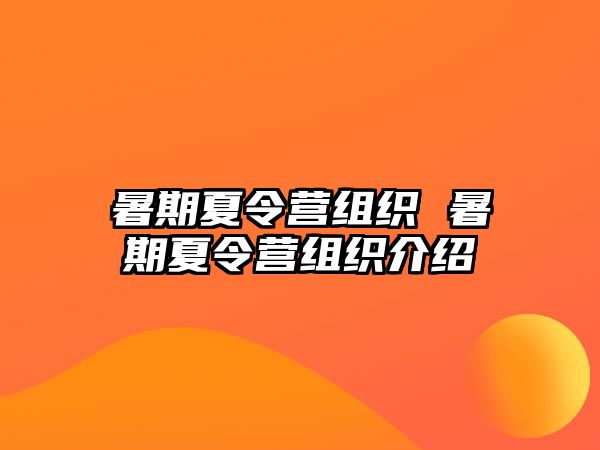 暑期夏令营组织 暑期夏令营组织介绍