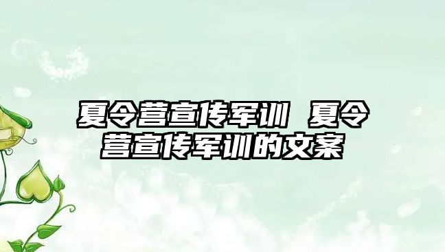 夏令营宣传军训 夏令营宣传军训的文案