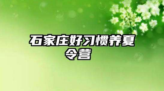 石家庄好习惯养夏令营 