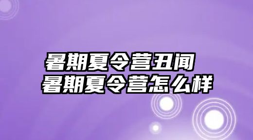 暑期夏令营丑闻 暑期夏令营怎么样