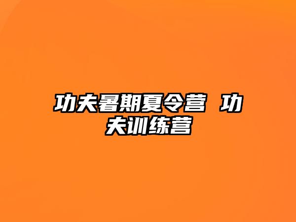 功夫暑期夏令营 功夫训练营