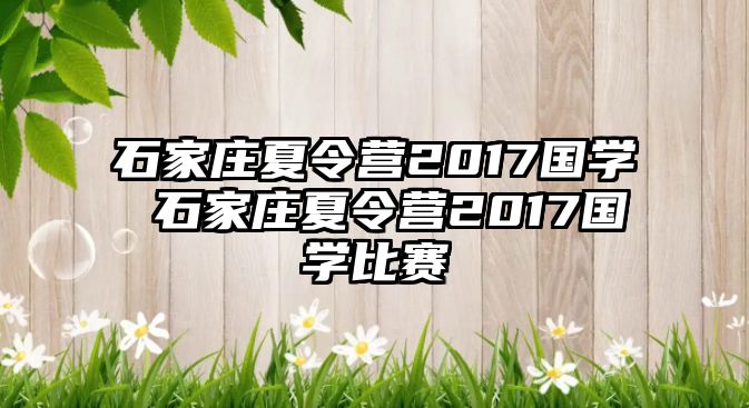 石家庄夏令营2017国学 石家庄夏令营2017国学比赛