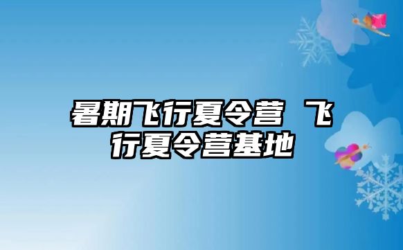 暑期飞行夏令营 飞行夏令营基地