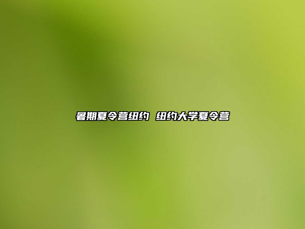 暑期夏令营纽约 纽约大学夏令营