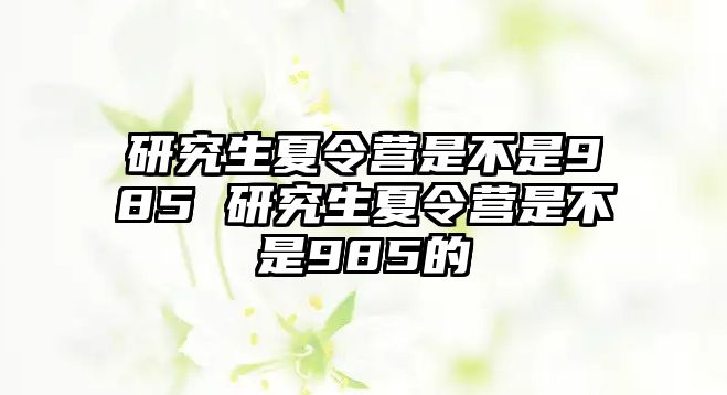 研究生夏令营是不是985 研究生夏令营是不是985的