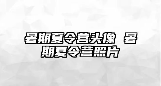 暑期夏令营头像 暑期夏令营照片