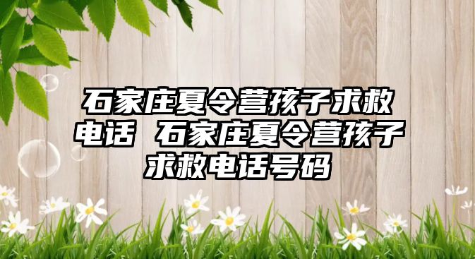 石家庄夏令营孩子求救电话 石家庄夏令营孩子求救电话号码