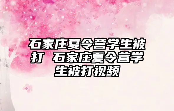 石家庄夏令营学生被打 石家庄夏令营学生被打视频