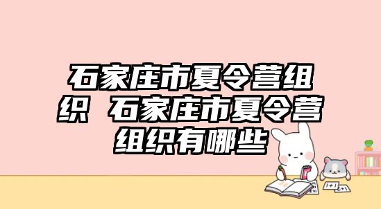 石家庄市夏令营组织 石家庄市夏令营组织有哪些