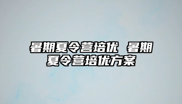 暑期夏令营培优 暑期夏令营培优方案