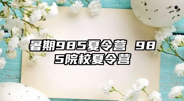 暑期985夏令营 985院校夏令营