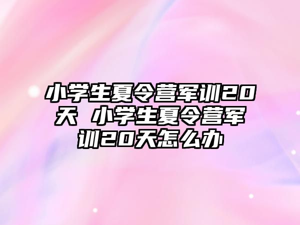 小学生夏令营军训20天 小学生夏令营军训20天怎么办