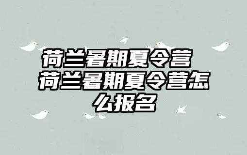 荷兰暑期夏令营 荷兰暑期夏令营怎么报名