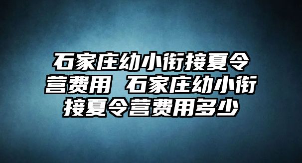 石家庄幼小衔接夏令营费用 石家庄幼小衔接夏令营费用多少