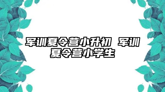 军训夏令营小升初 军训夏令营小学生