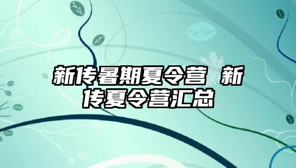 新传暑期夏令营 新传夏令营汇总