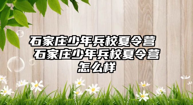 石家庄少年兵校夏令营 石家庄少年兵校夏令营怎么样