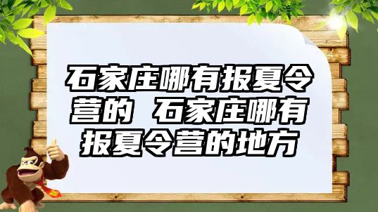 石家庄哪有报夏令营的 石家庄哪有报夏令营的地方