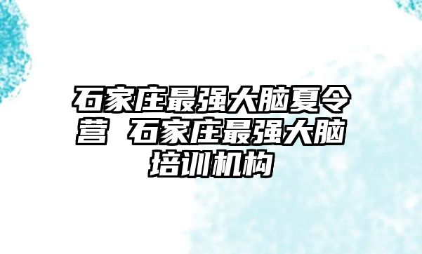 石家庄最强大脑夏令营 石家庄最强大脑培训机构