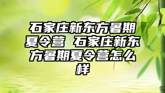 石家庄新东方暑期夏令营 石家庄新东方暑期夏令营怎么样