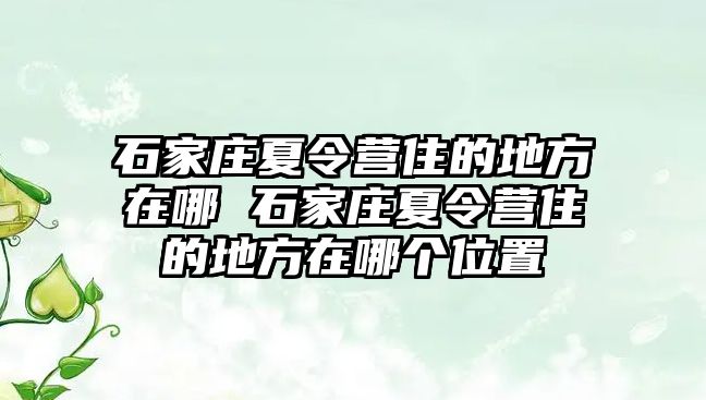 石家庄夏令营住的地方在哪 石家庄夏令营住的地方在哪个位置