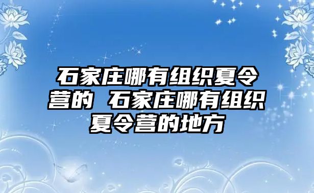 石家庄哪有组织夏令营的 石家庄哪有组织夏令营的地方