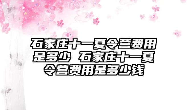 石家庄十一夏令营费用是多少 石家庄十一夏令营费用是多少钱