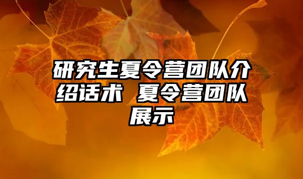 研究生夏令营团队介绍话术 夏令营团队展示