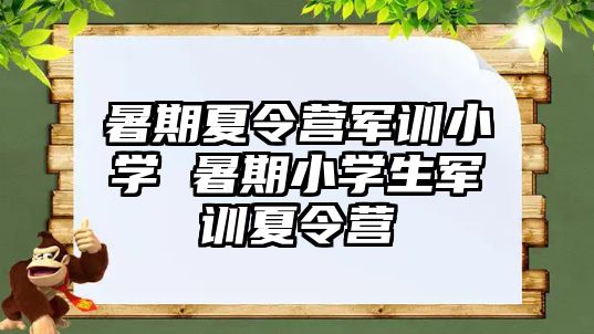 暑期夏令营军训小学 暑期小学生军训夏令营