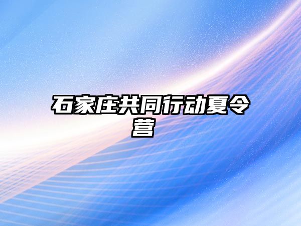 石家庄共同行动夏令营 