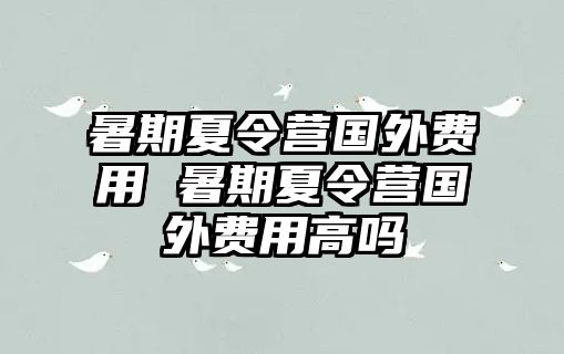 暑期夏令营国外费用 暑期夏令营国外费用高吗