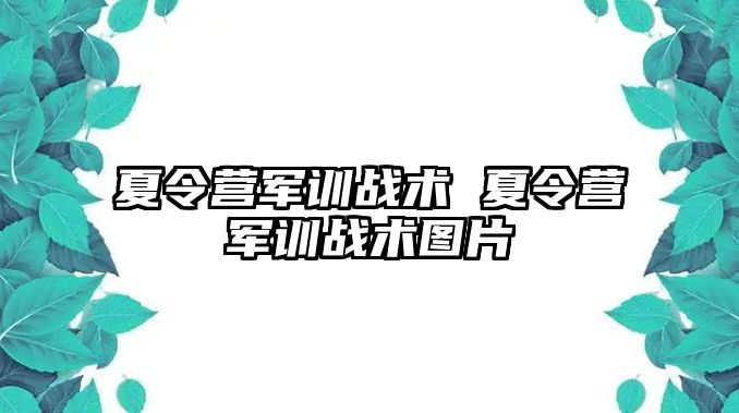 夏令营军训战术 夏令营军训战术图片