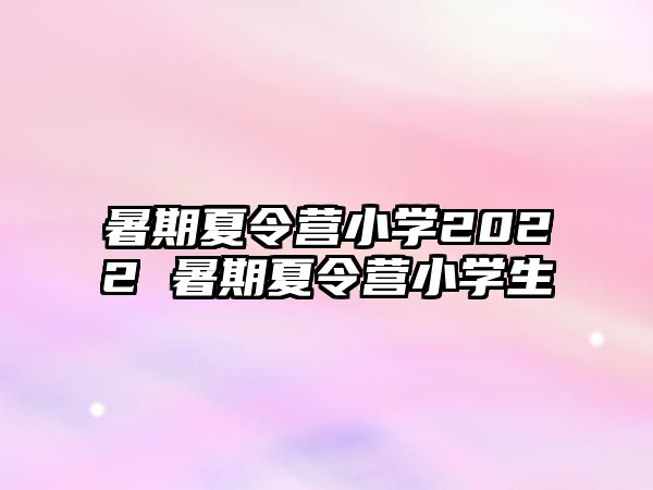 暑期夏令营小学2022 暑期夏令营小学生