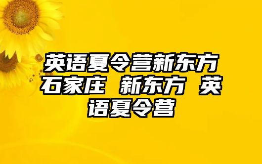 英语夏令营新东方石家庄 新东方 英语夏令营