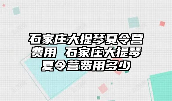 石家庄大提琴夏令营费用 石家庄大提琴夏令营费用多少