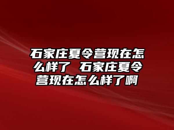 石家庄夏令营现在怎么样了 石家庄夏令营现在怎么样了啊