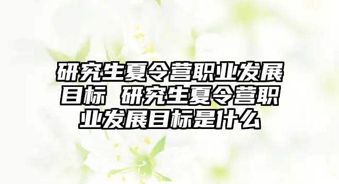 研究生夏令营职业发展目标 研究生夏令营职业发展目标是什么