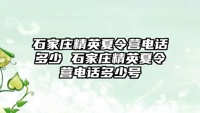 石家庄精英夏令营电话多少 石家庄精英夏令营电话多少号