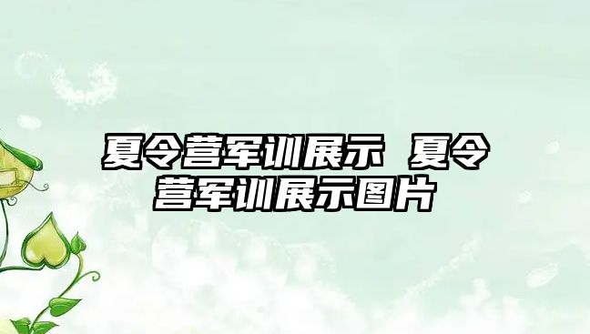 夏令营军训展示 夏令营军训展示图片