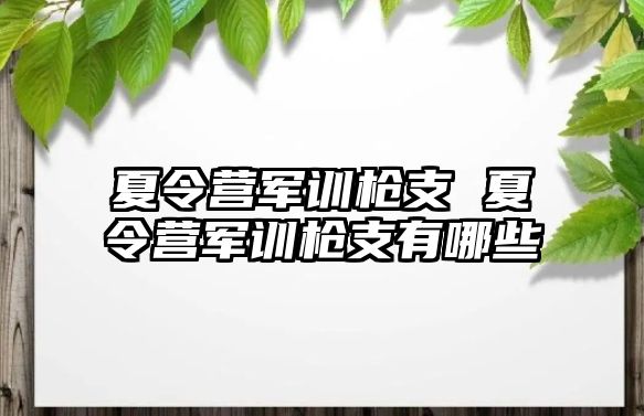 夏令营军训枪支 夏令营军训枪支有哪些