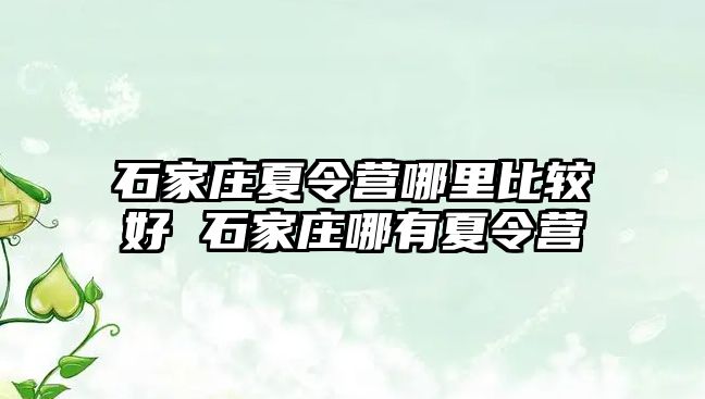 石家庄夏令营哪里比较好 石家庄哪有夏令营