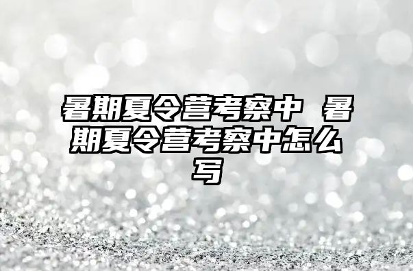 暑期夏令营考察中 暑期夏令营考察中怎么写