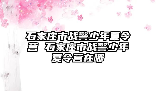 石家庄市战警少年夏令营 石家庄市战警少年夏令营在哪